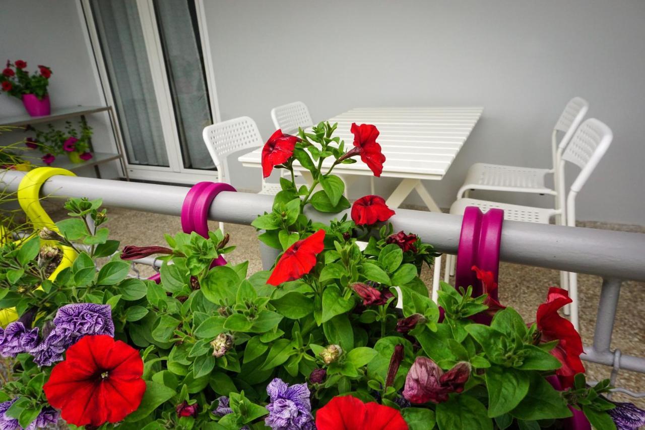 זאדאר Apartment Nena מראה חיצוני תמונה