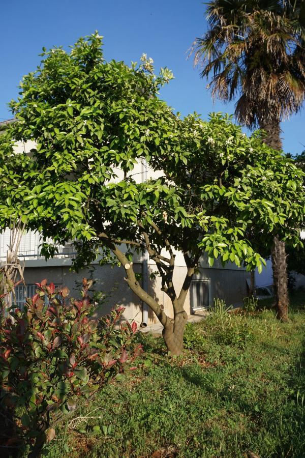 זאדאר Apartment Nena מראה חיצוני תמונה
